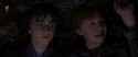 CS-Potterish_06775.jpg