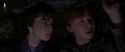 CS-Potterish_06776.jpg
