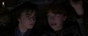 CS-Potterish_06777.jpg