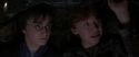 CS-Potterish_06779.jpg