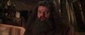 CS-Potterish_06813.jpg