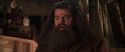CS-Potterish_06814.jpg