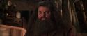 CS-Potterish_06815.jpg