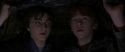 CS-Potterish_06817.jpg