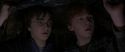 CS-Potterish_06818.jpg
