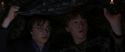 CS-Potterish_06835.jpg