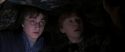 CS-Potterish_06836.jpg