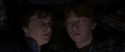 CS-Potterish_06897.jpg