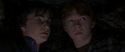 CS-Potterish_06898.jpg
