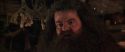CS-Potterish_06903.jpg