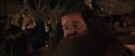 CS-Potterish_06906.jpg