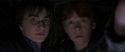 CS-Potterish_06935.jpg