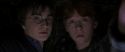 CS-Potterish_06936.jpg