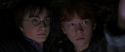 CS-Potterish_06951.jpg