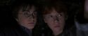 CS-Potterish_06952.jpg
