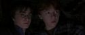 CS-Potterish_06968.jpg