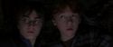 CS-Potterish_06969.jpg