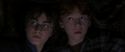 CS-Potterish_06970.jpg