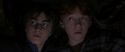 CS-Potterish_06971.jpg
