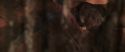 CS-Potterish_06989.jpg