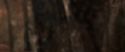 CS-Potterish_06998.jpg