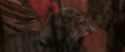 CS-Potterish_07001.jpg