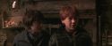 CS-Potterish_07007.jpg