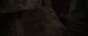CS-Potterish_07054.jpg