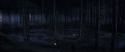 CS-Potterish_07081.jpg