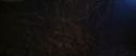 CS-Potterish_07127.jpg