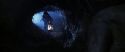 CS-Potterish_07144.jpg