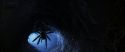 CS-Potterish_07159.jpg