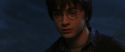 CS-Potterish_07192.jpg