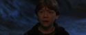 CS-Potterish_07202.jpg