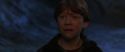 CS-Potterish_07203.jpg