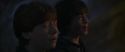 CS-Potterish_07241.jpg