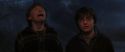 CS-Potterish_07300.jpg