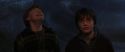CS-Potterish_07302.jpg