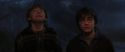 CS-Potterish_07305.jpg