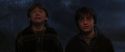 CS-Potterish_07306.jpg