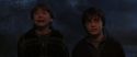 CS-Potterish_07307.jpg