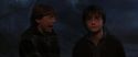CS-Potterish_07310.jpg