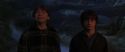 CS-Potterish_07329.jpg