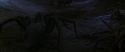 CS-Potterish_07347.jpg