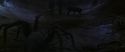 CS-Potterish_07348.jpg