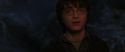 CS-Potterish_07350.jpg