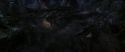 CS-Potterish_07354.jpg