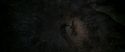 CS-Potterish_07380.jpg