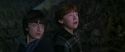 CS-Potterish_07384.jpg