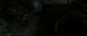 CS-Potterish_07388.jpg